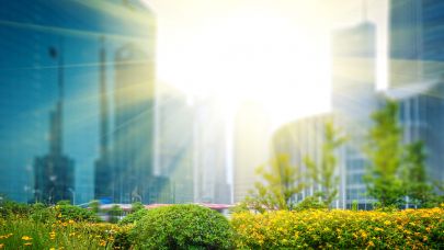 Een aantal gebouwen gevangen door zonnestralen met een groene tuin op de voorgrond