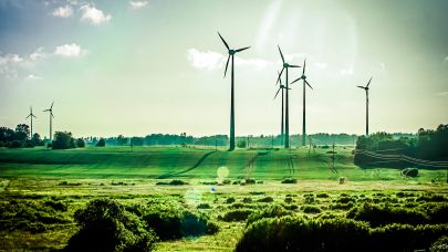 Groen landschap met uitzicht op windmolens