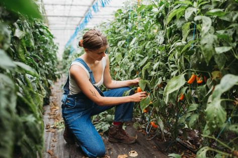 Het geheime ingrediënt van Food&i: inclusiviteit